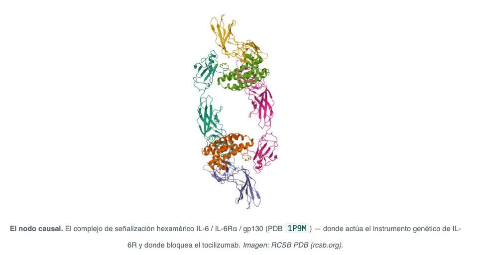 The causal node — IL-6 / IL-6Ra / gp130 complex